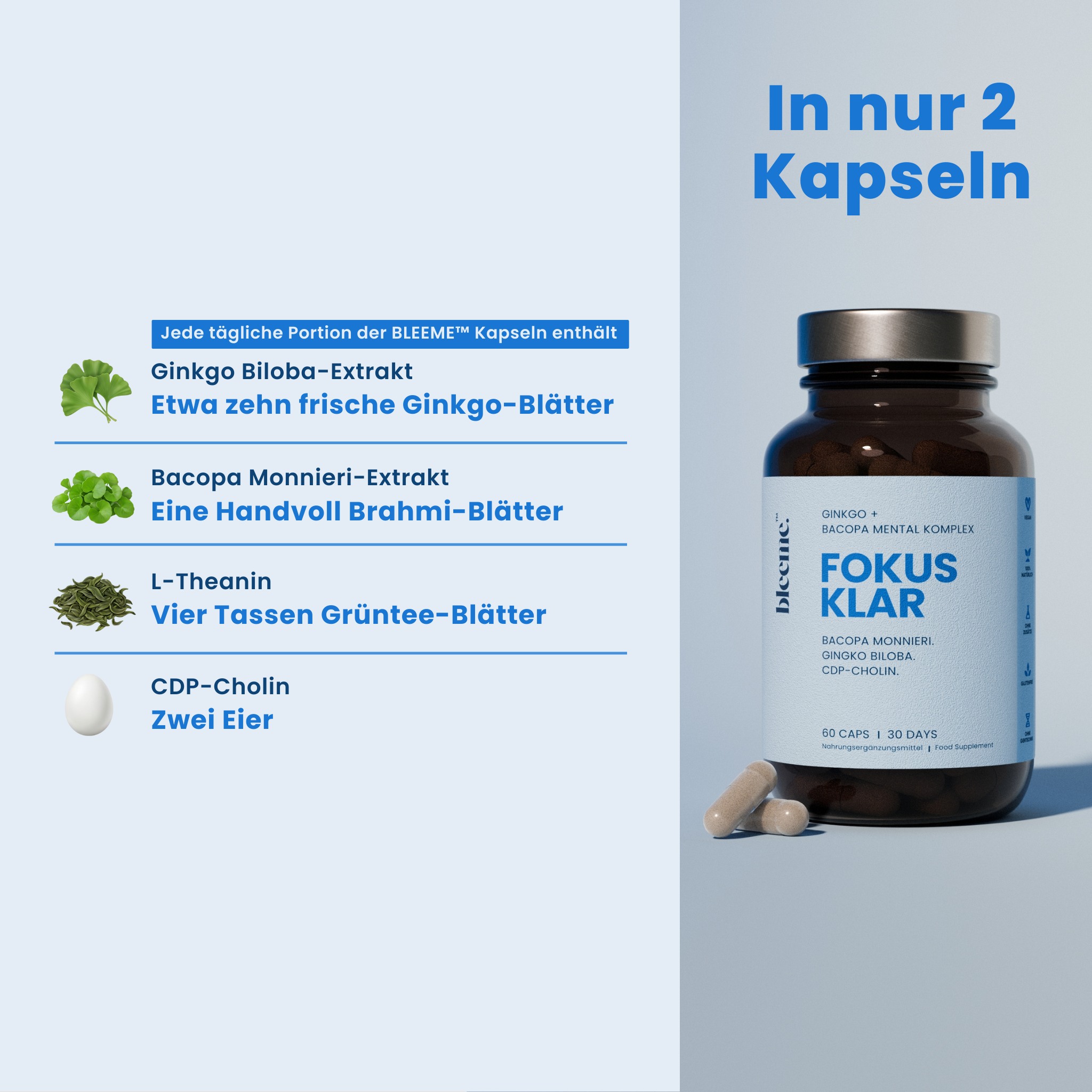 FOKUS KLAR ● Ginkgo + Bacopa + Mental Komplex