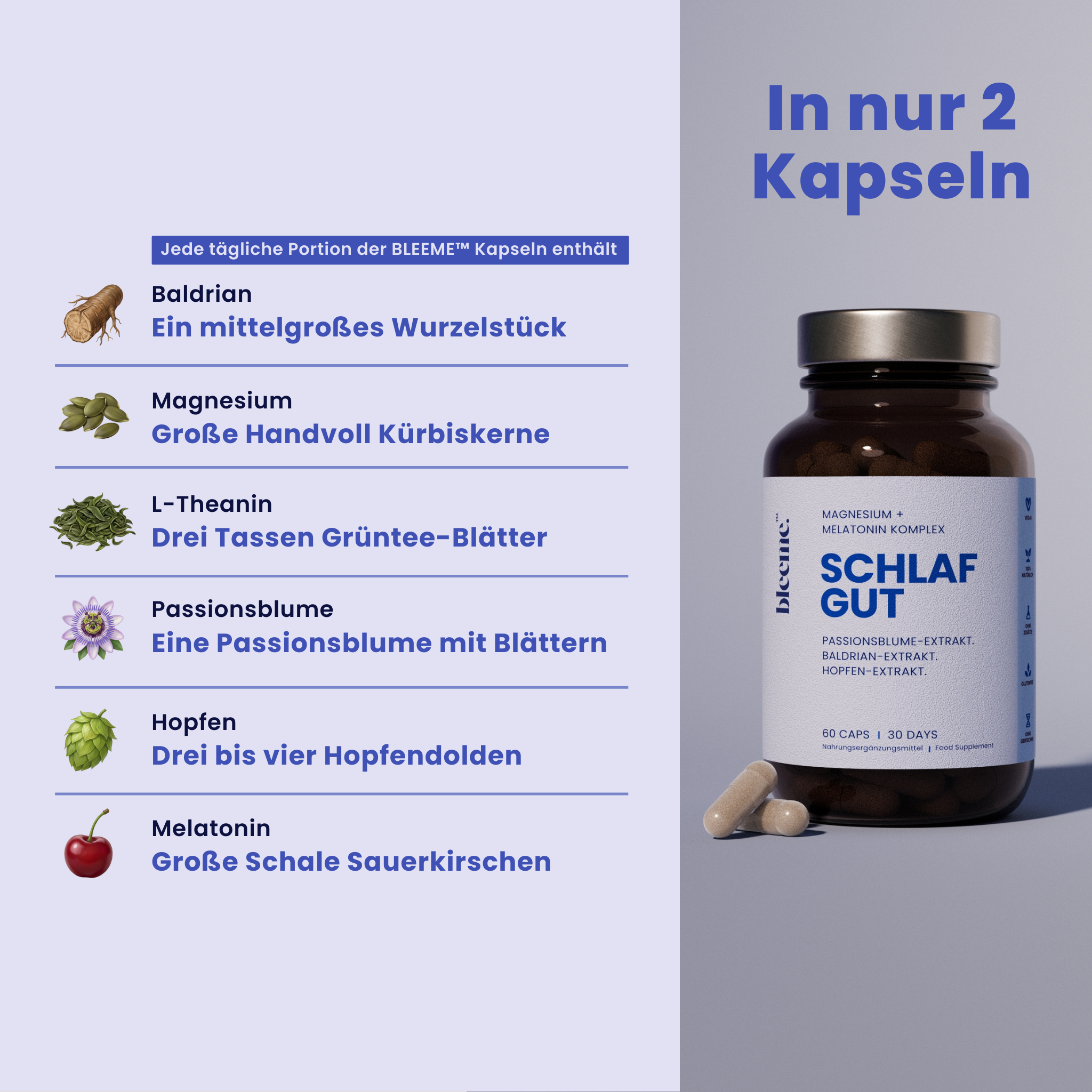 SCHLAF GUT ● Magnesium + Baldrian + Melatonin Komplex