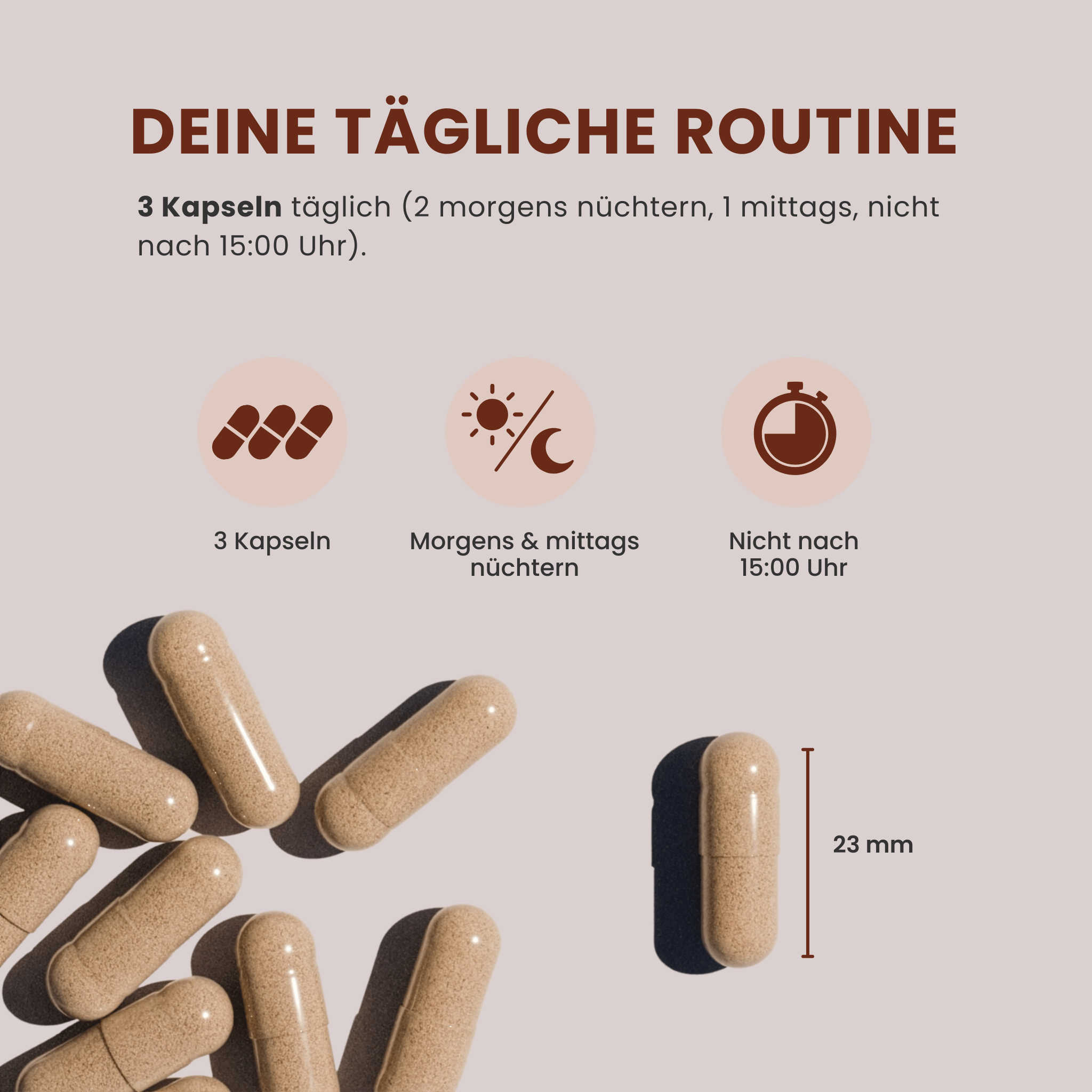 MÄNNER KRAFT ● Maca + Ashwaghanda KSM-66® + Zink Komplex