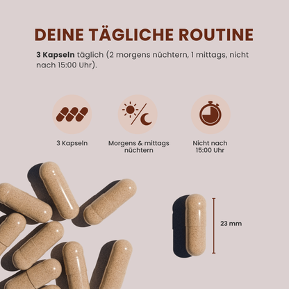 MÄNNER KRAFT ● Maca + Ashwaghanda KSM-66® + Zink Komplex