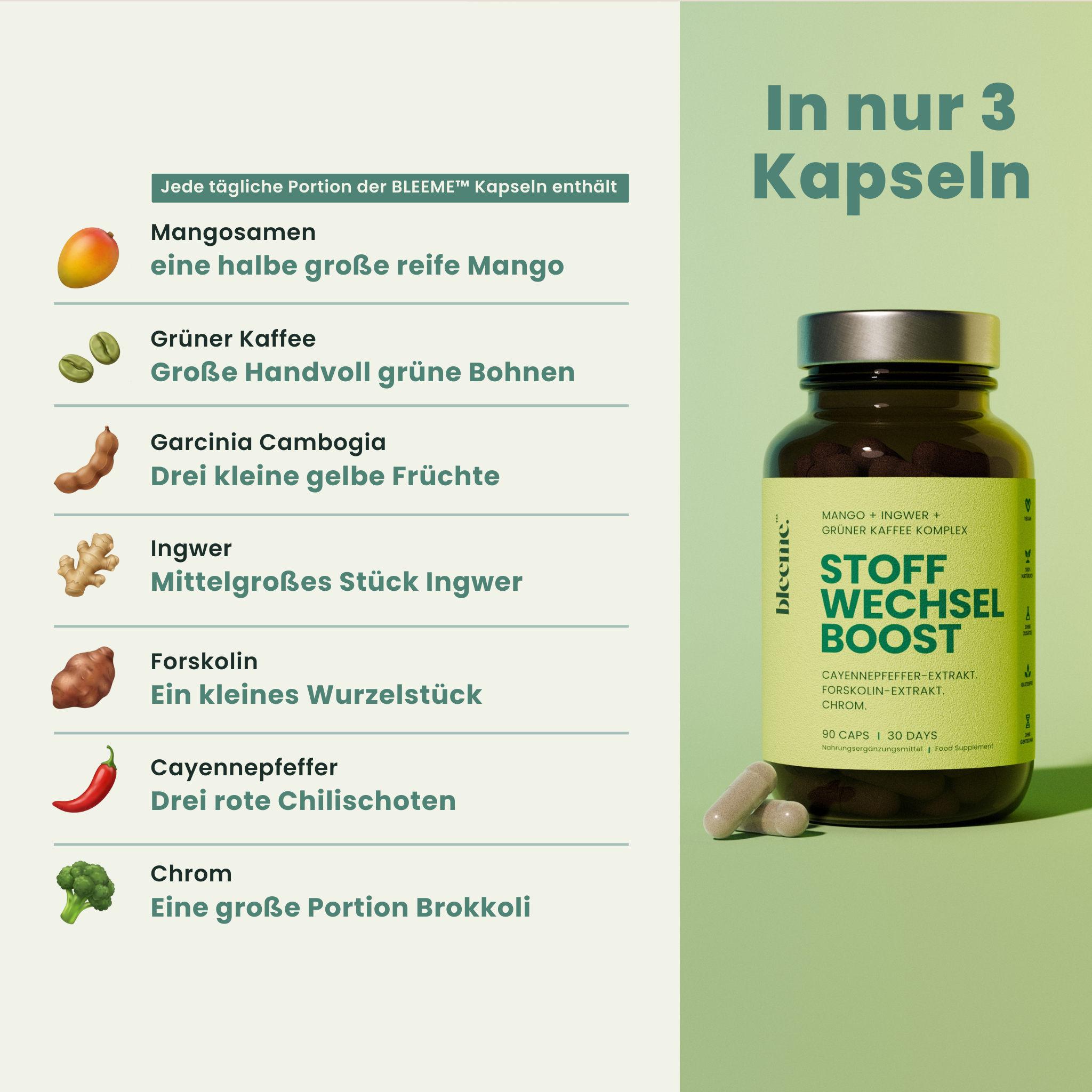 STOFFWECHSEL BOOST ● Mango + Ingwer + Grüner Kaffee Komplex