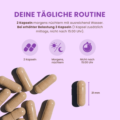 STRESS BALANCE ● Ashwagandha KSM-66® Adaptogen Komplex